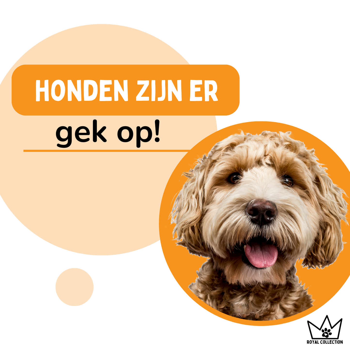 By Cee Cee Orthopedische Hondenmand 5 Soorten