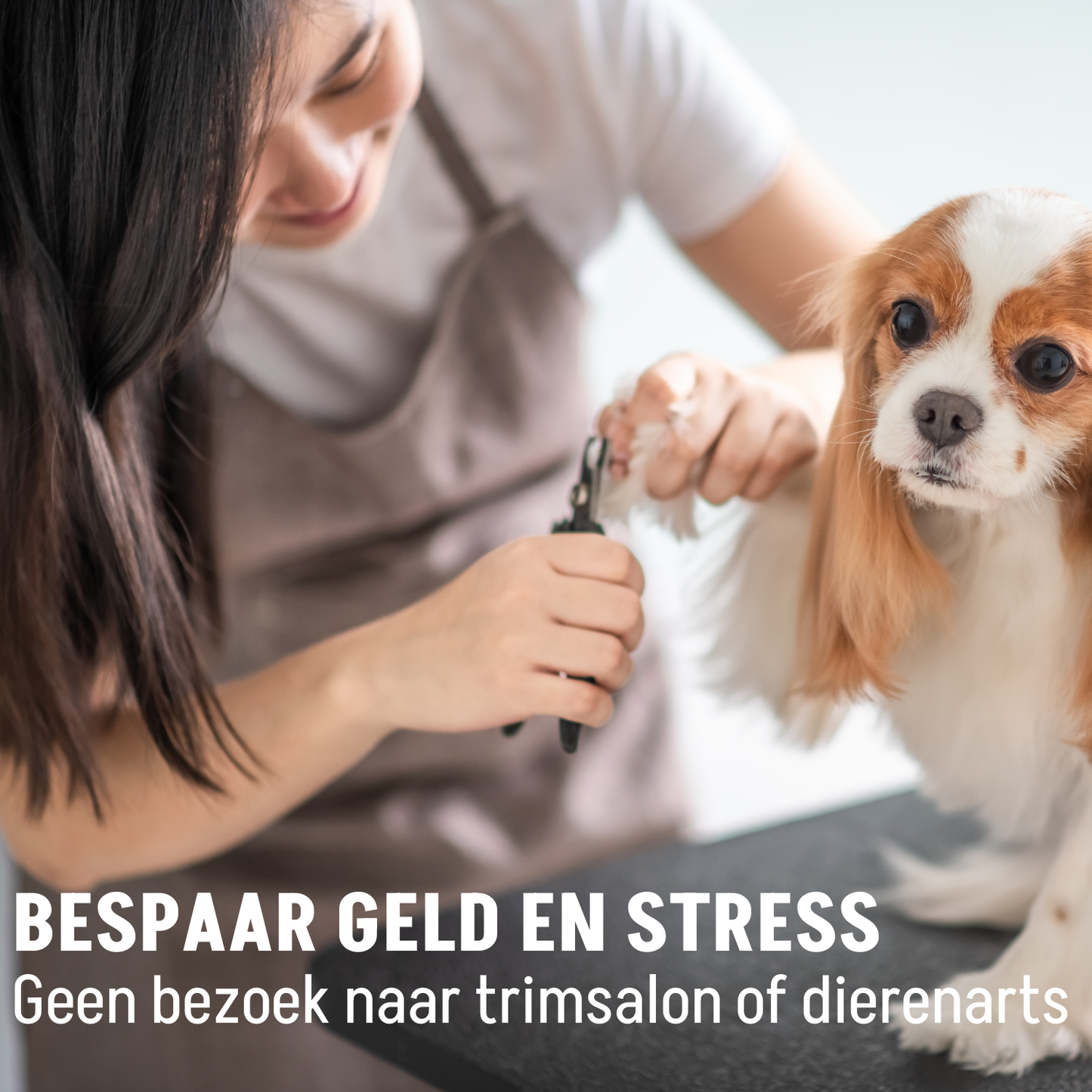 Kammen, Borstels en Nagelknippers