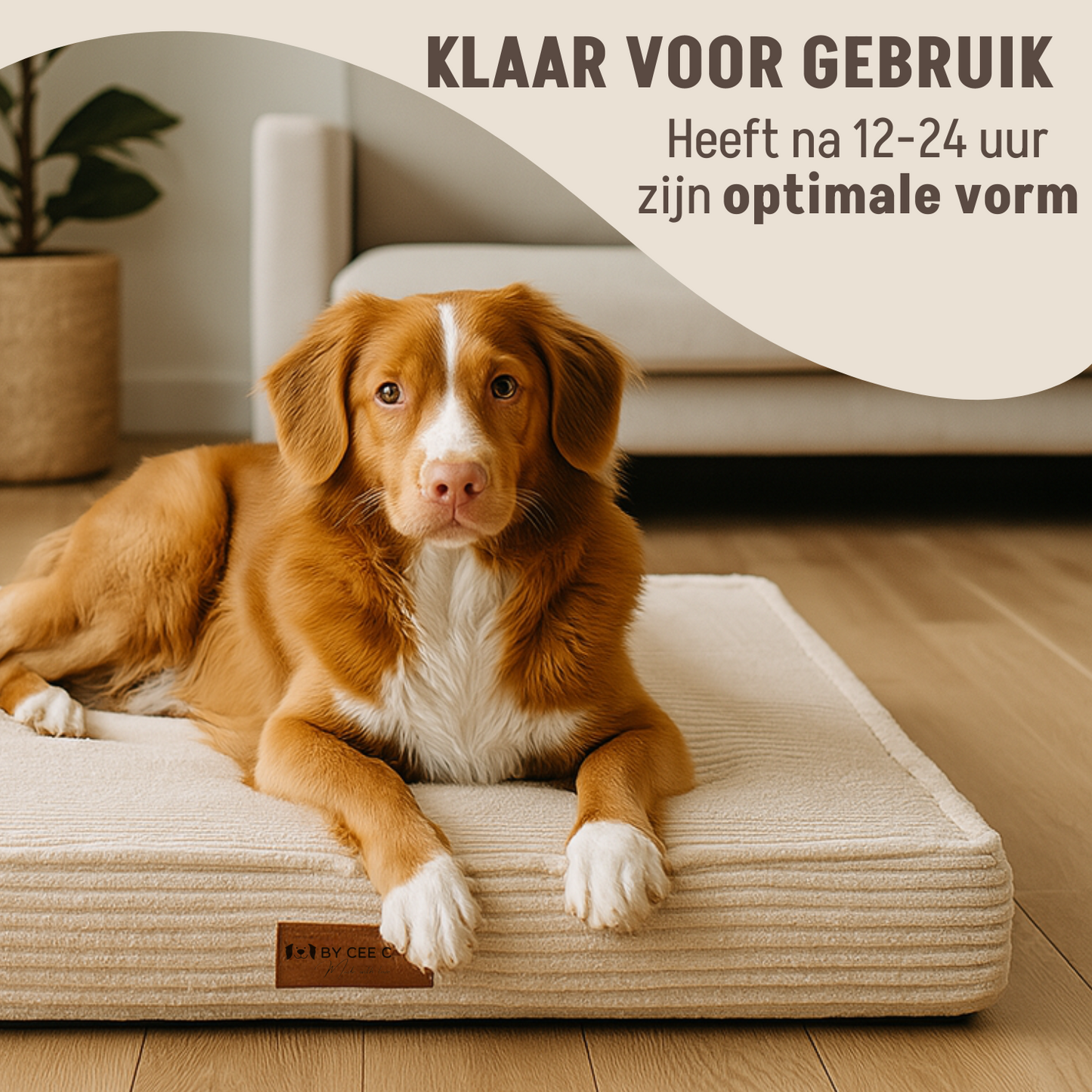 By Cee Cee Origineel Orthopedisch Hondenkussen Ribstof 100x70cm