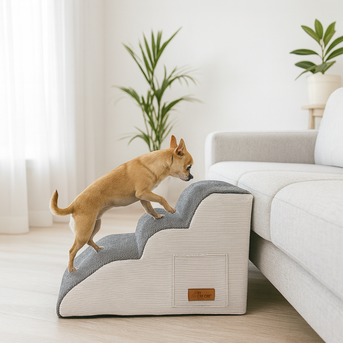 Hoe leer je een hond een hondentrap gebruiken? Stappenplan