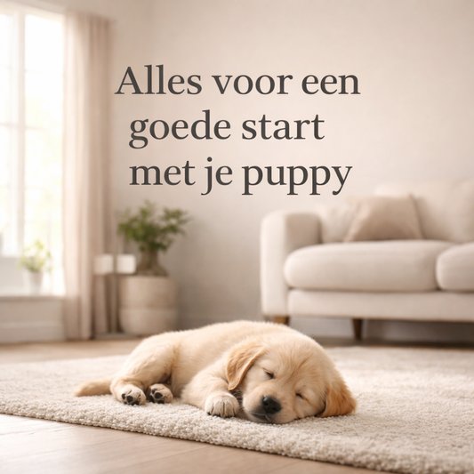 De complete puppy uitzet, alles wat je nodig hebt voor een goede start met je puppy