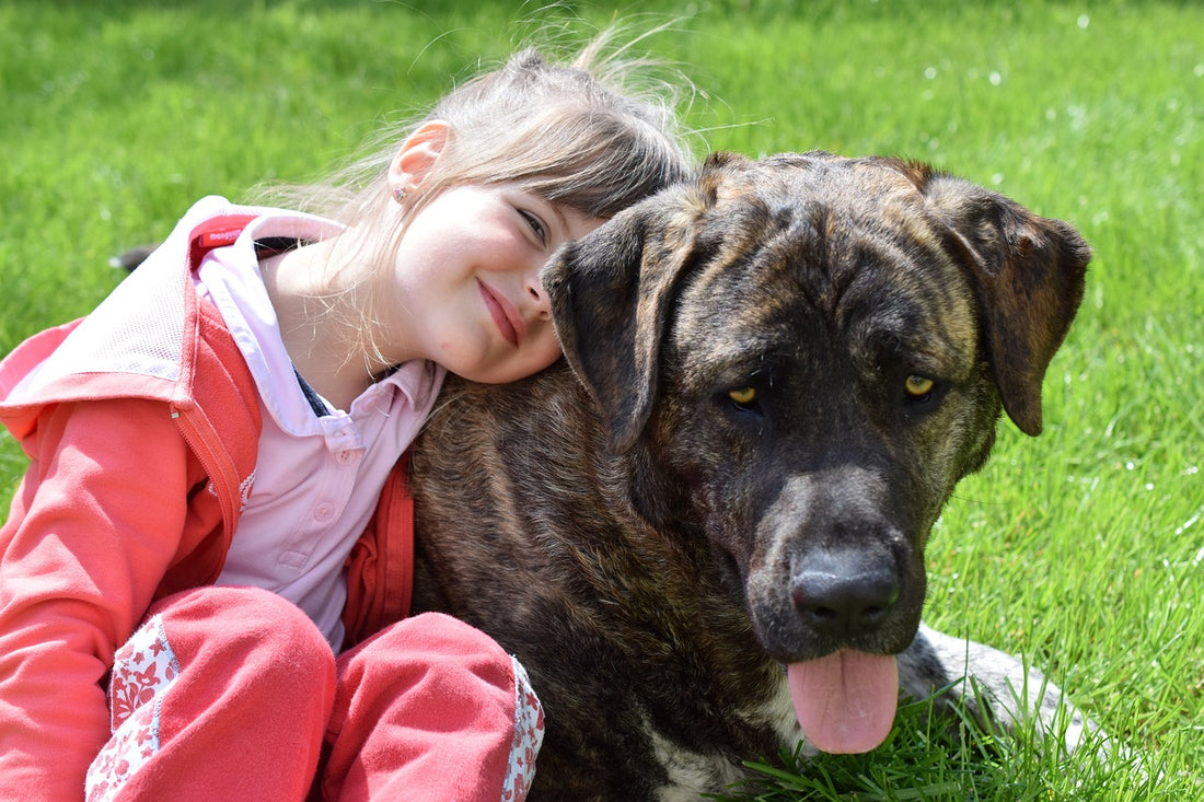 Honden en kinderen veilig samen