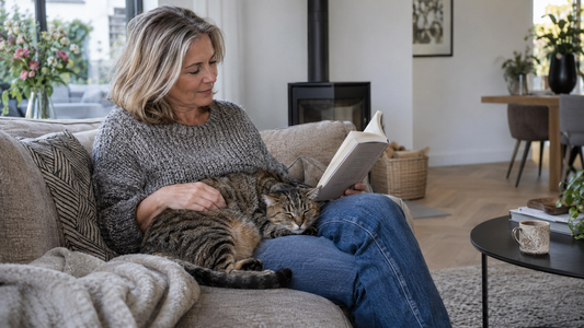 Europese korthaar slaapt op de schoot van een vrouw die op de bank leest