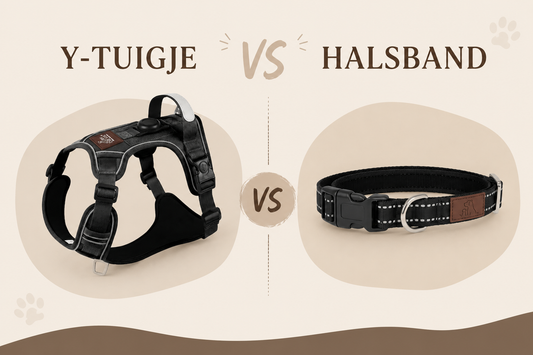 Wat is het verschil tussen een Y-tuig en een halsband?