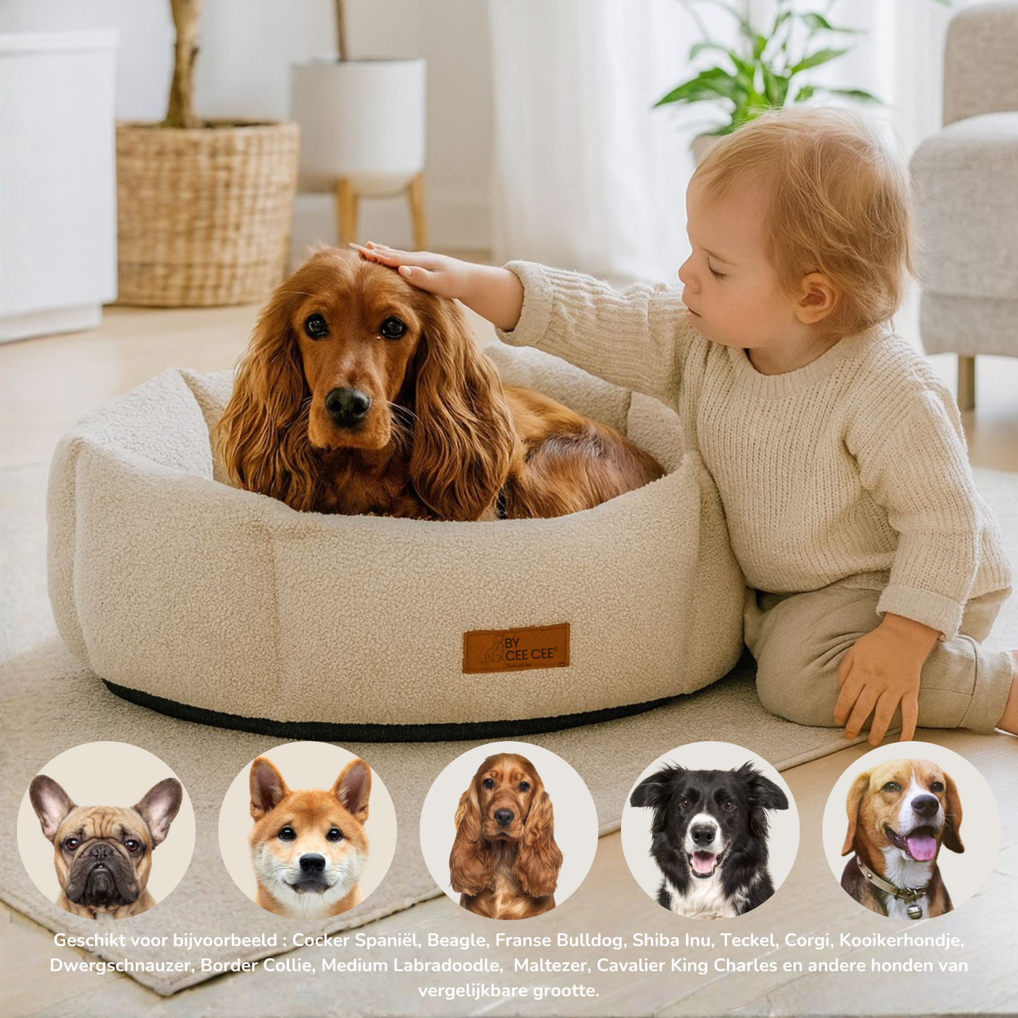 By Cee Cee Hondenmand Teddy Middelgrote honden