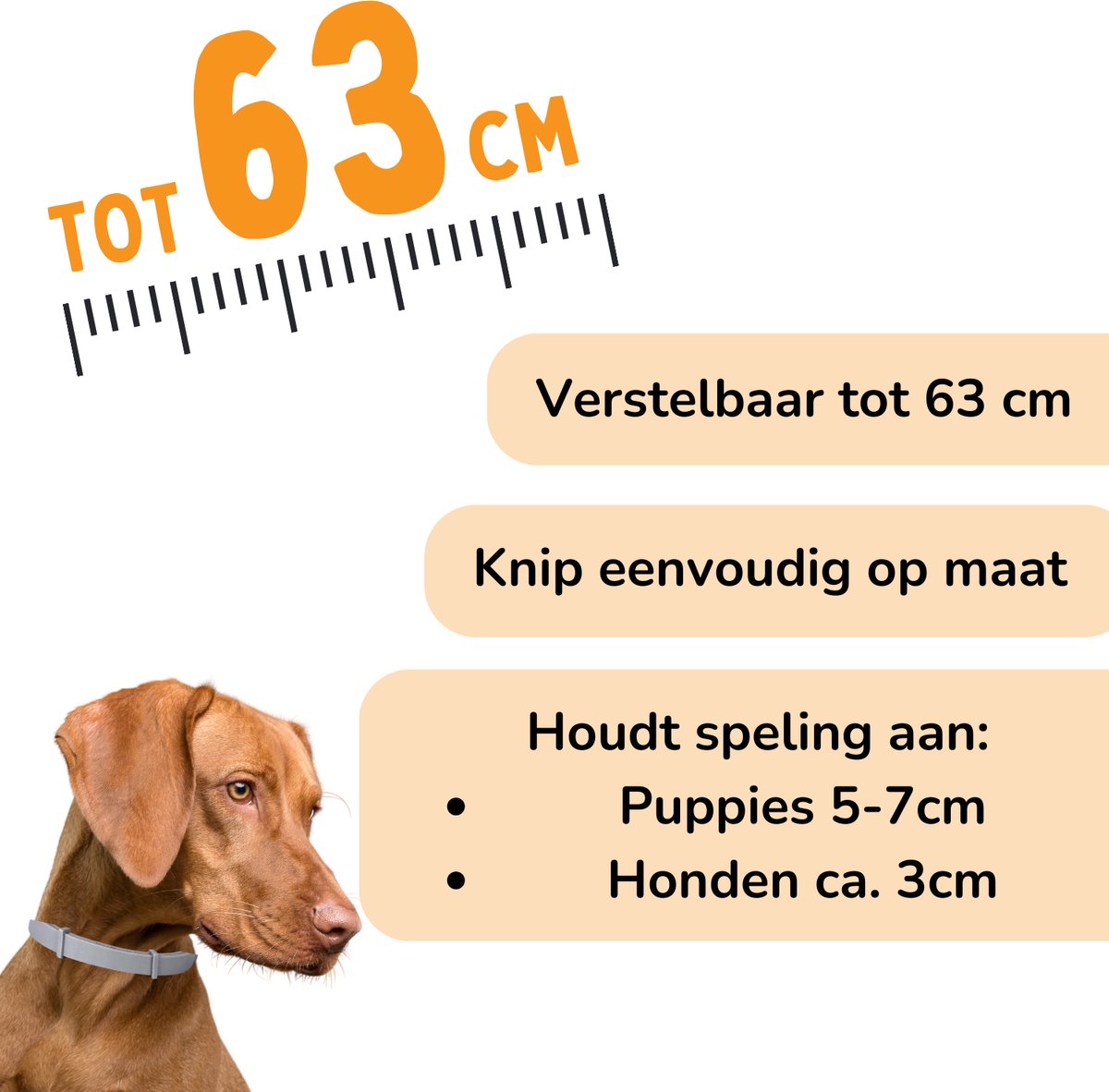 Vlooienband Hond -  Effectief Tegen Vlooien En Teken - Grijs