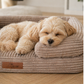 By Cee Cee Orthopedic Dog Bed
