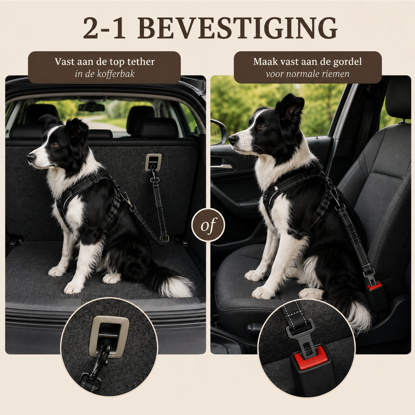 Hunde-Autogurt Stoßdämpfend