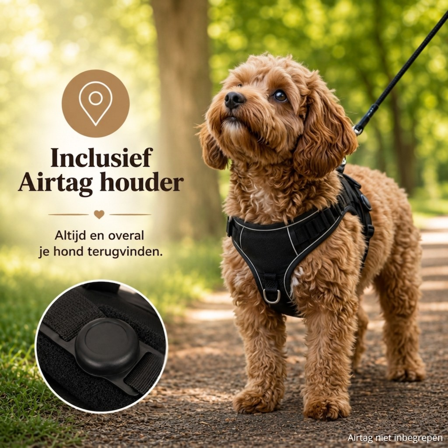 Reflective Anti-Pull Dog Harness Black