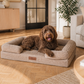 By Cee Cee Orthopedic Dog Bed