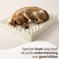 By Cee Cee Orthopedic Dog Bed