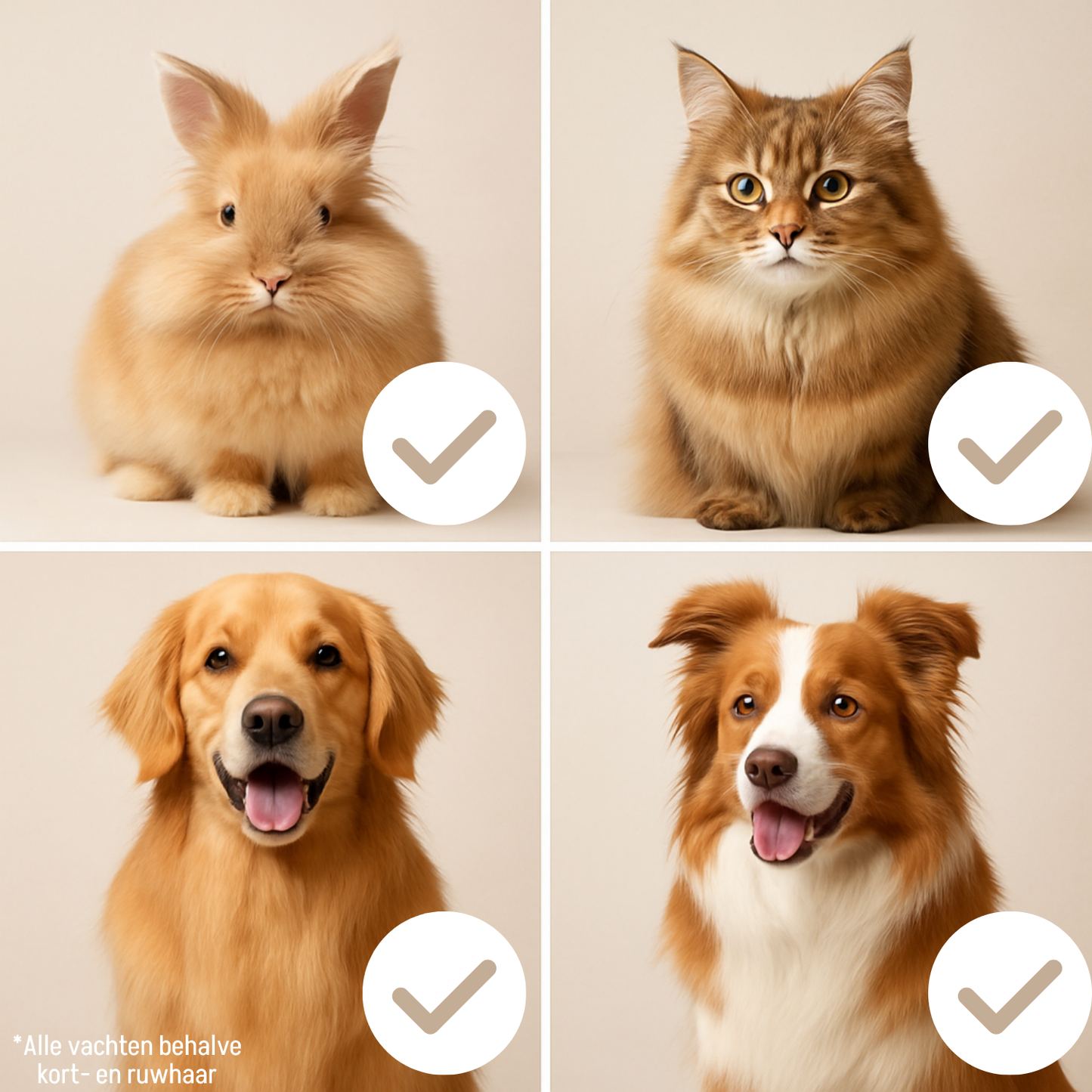 Kammen, Borstels en Nagelknippers