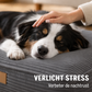Orthopedic Dog Cushion Foam Flakes Filling