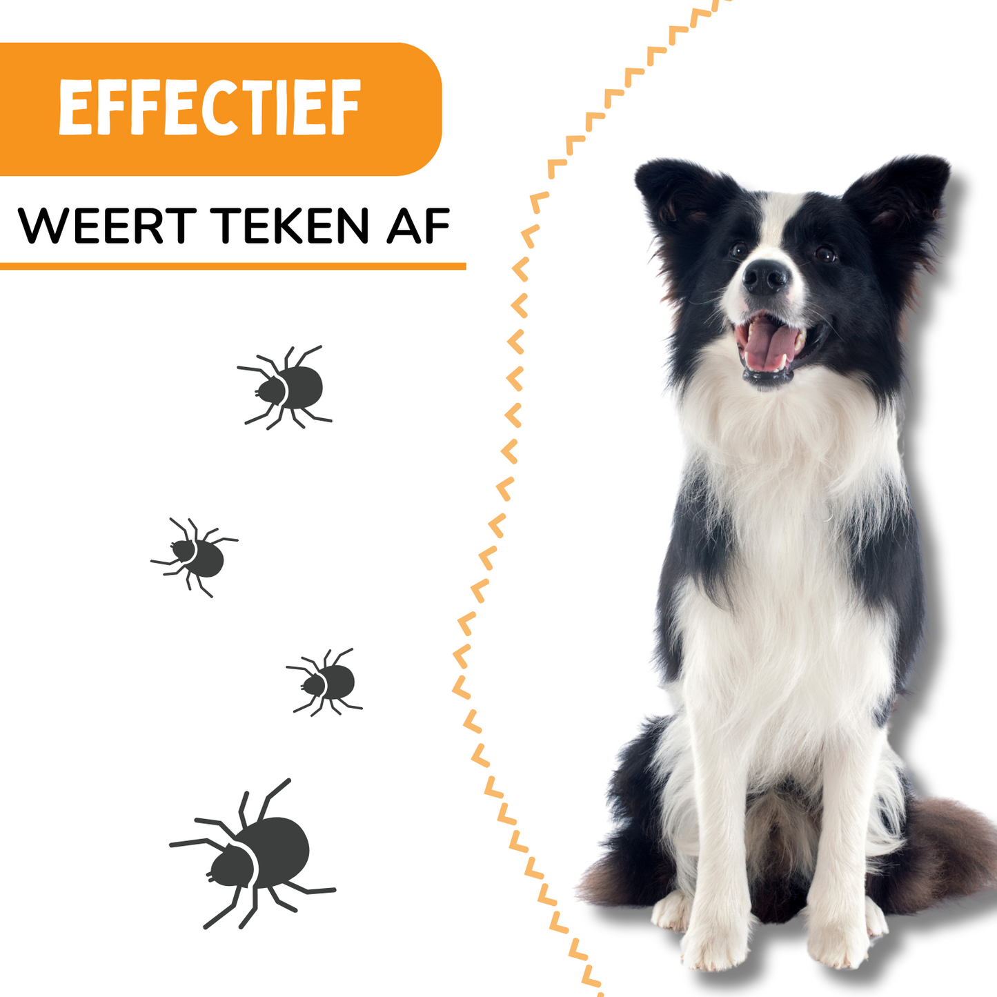 Vlooienband Hond -  Effectief Tegen Vlooien En Teken - Grijs