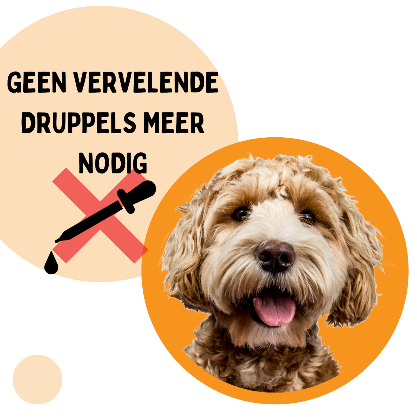 Vlooienband Hond -  Effectief Tegen Vlooien En Teken - 100% Natuurlijk - Organic