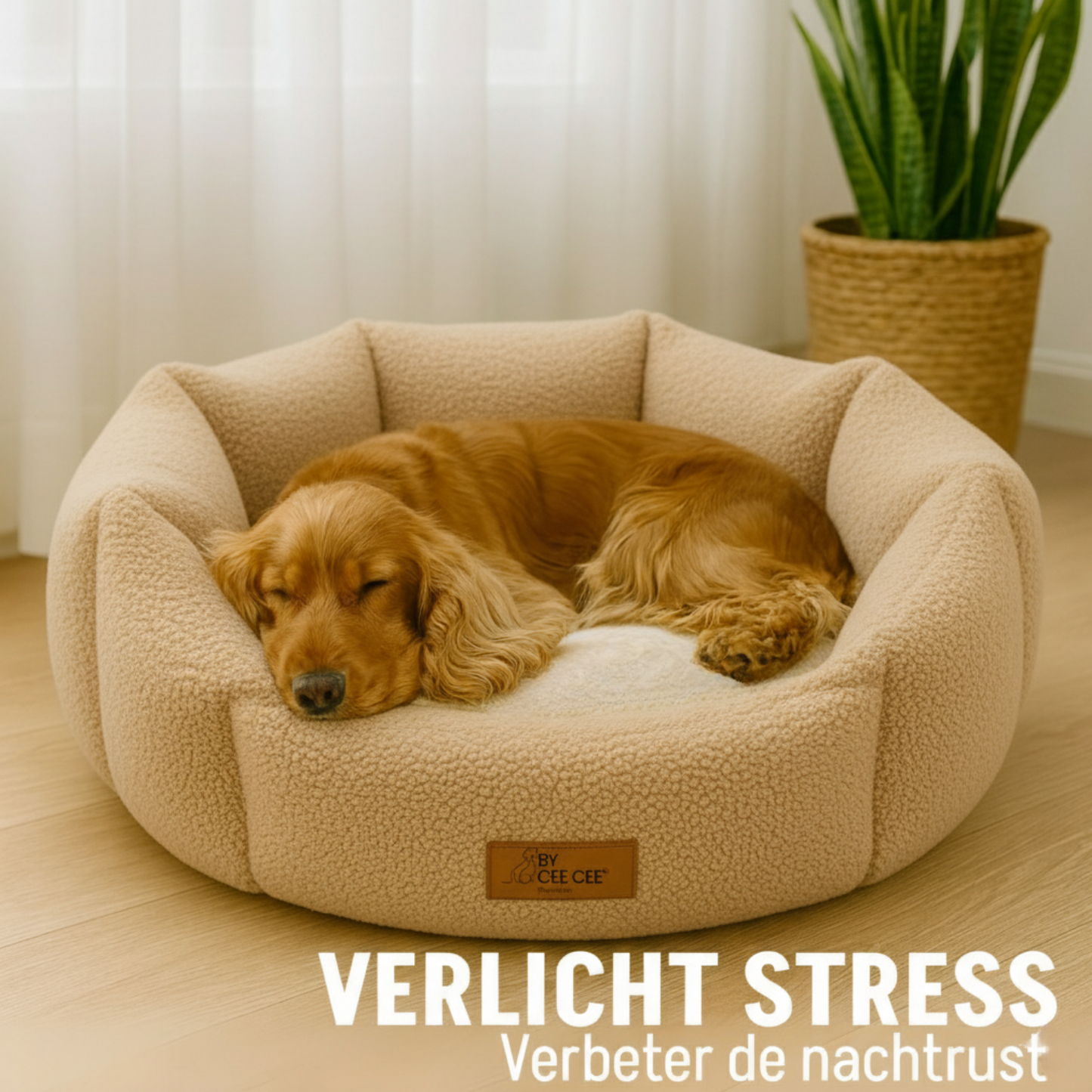 By Cee Cee Hondenmand Teddy Middelgrote honden