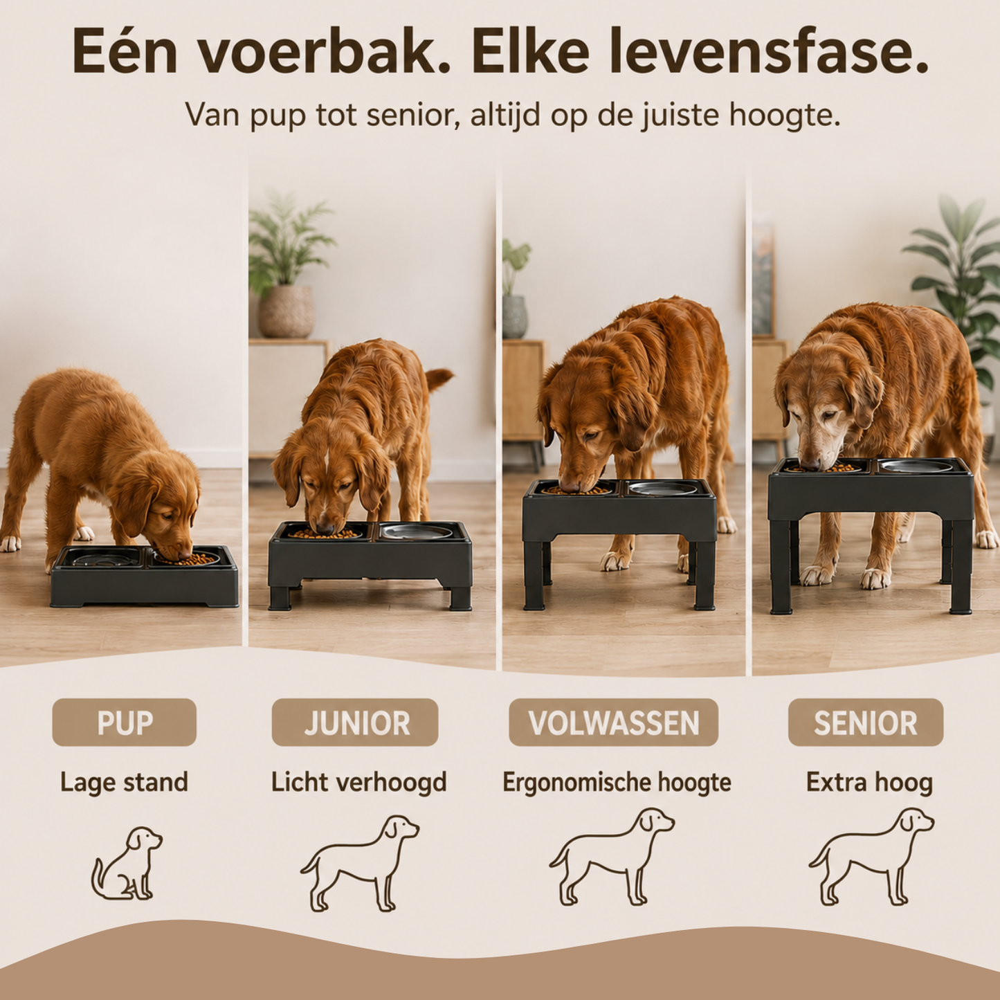 Verstelbare Dubbele Voerbak Met Anti-knoeimat