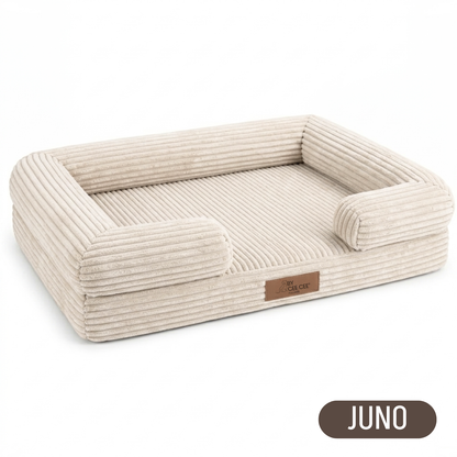 By Cee Cee Orthopedic Dog Bed