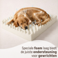 By Cee Cee Orthopedic Dog Bed