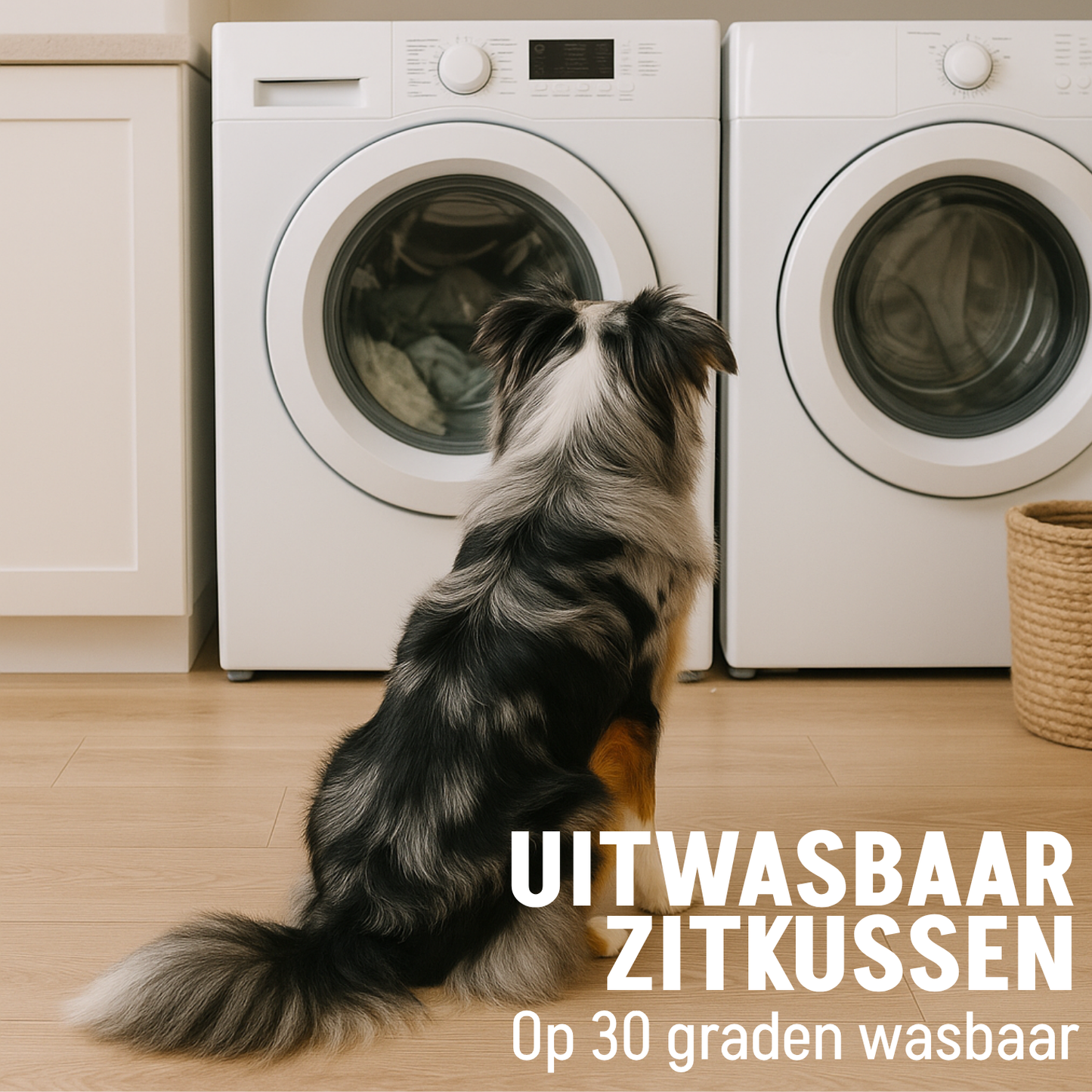 By Cee Cee Hondenmand Teddy Middelgrote honden