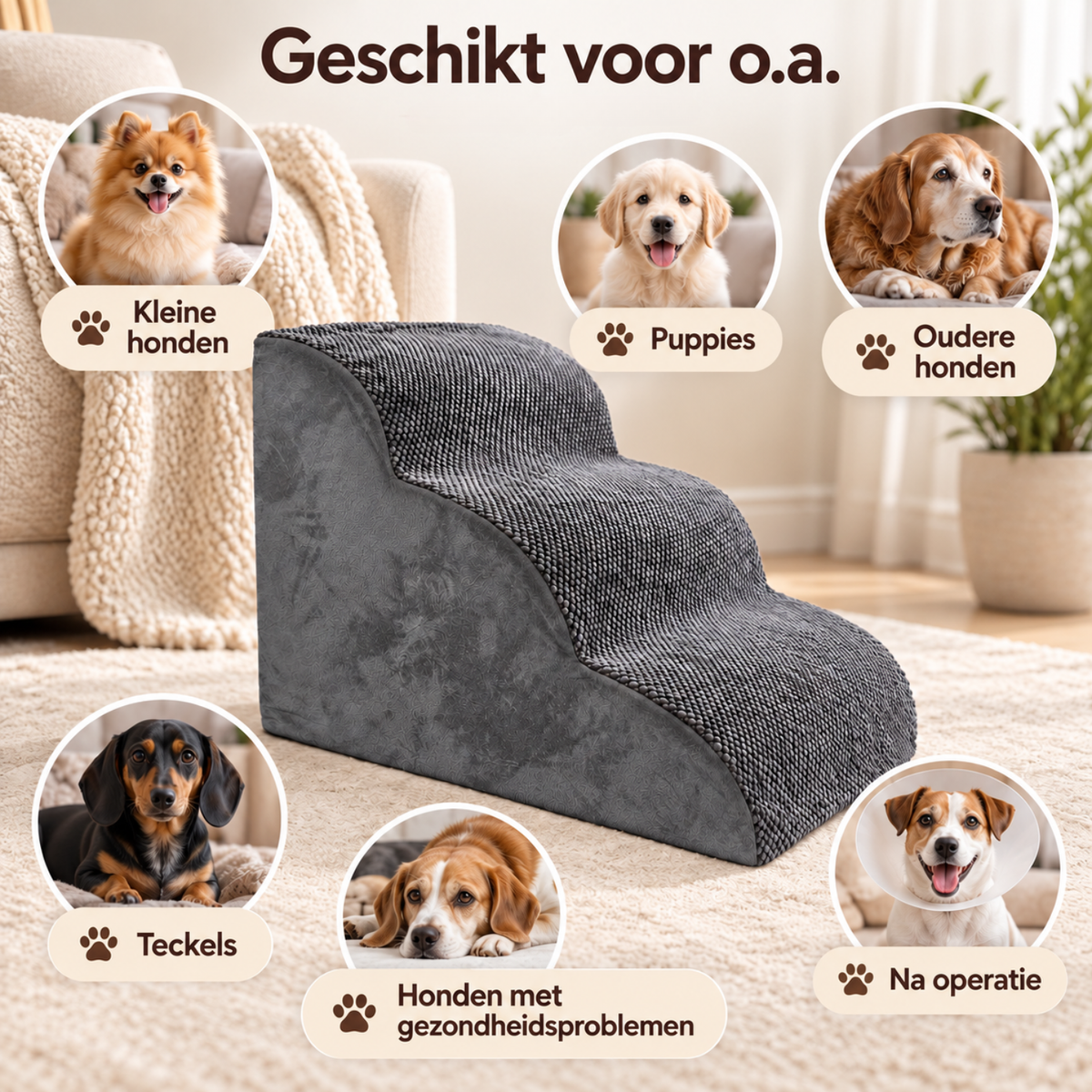 By Cee Cee Anti Slip Hondentrapje Voor Honden