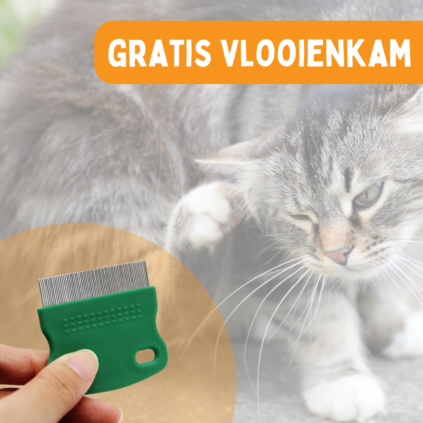 Vlooienband Kat -  Effectief Tegen Vlooien En Teken - Zwart