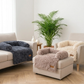 By Cee Cee Fluffy Dog Blanket Sofa