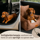 Luxe Autostoel Voor Kleine Honden