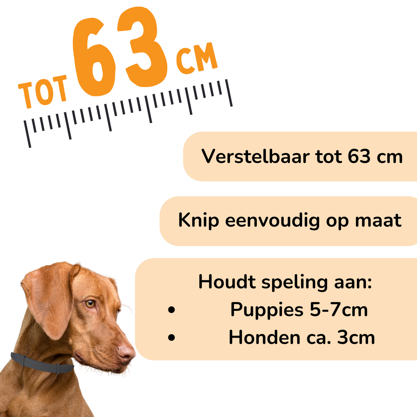 Vlooienband Hond -  Effectief Tegen Vlooien En Teken - Zwart