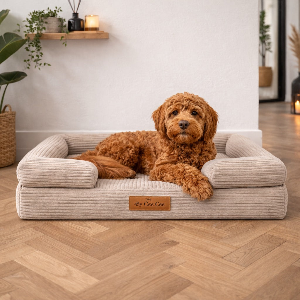 By Cee Cee Orthopedic Dog Bed