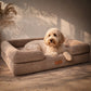 By Cee Cee Orthopedic Dog Bed