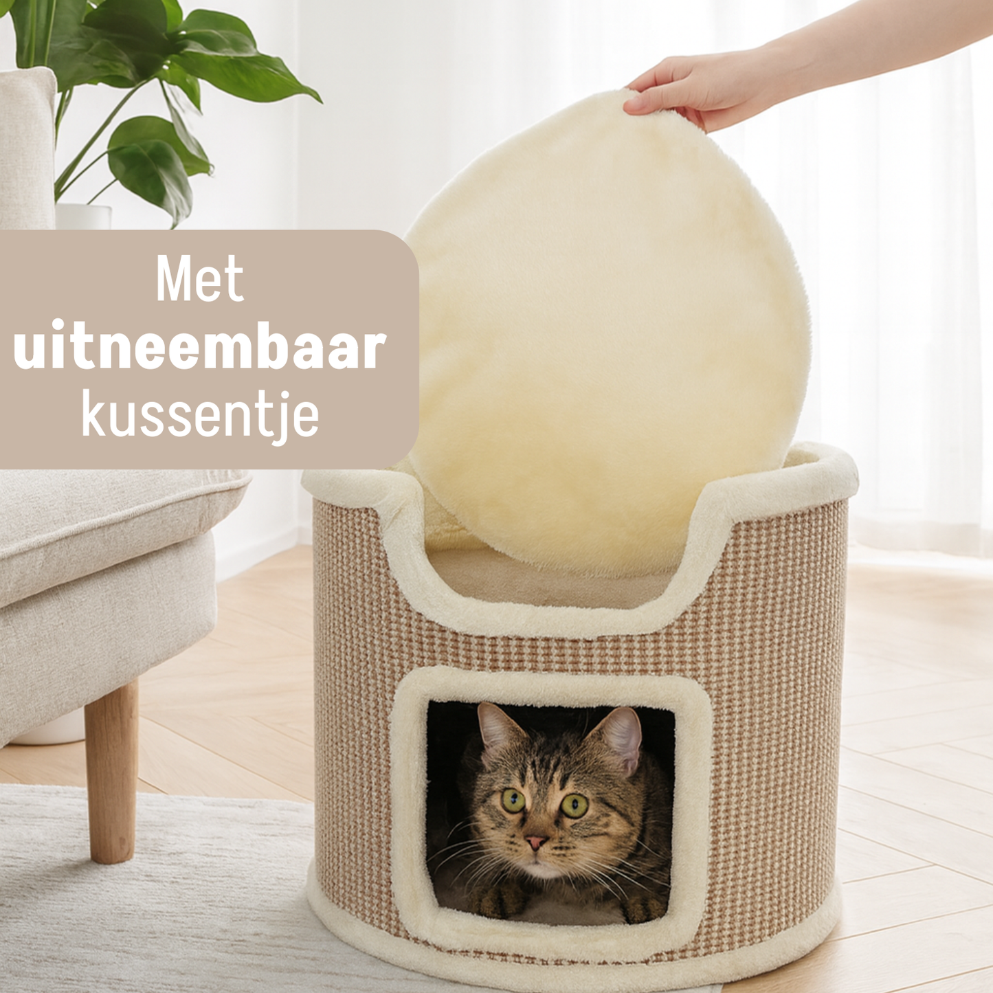 By Cee Cee Krabton - Krabpaal Evi - 39x39x37cm