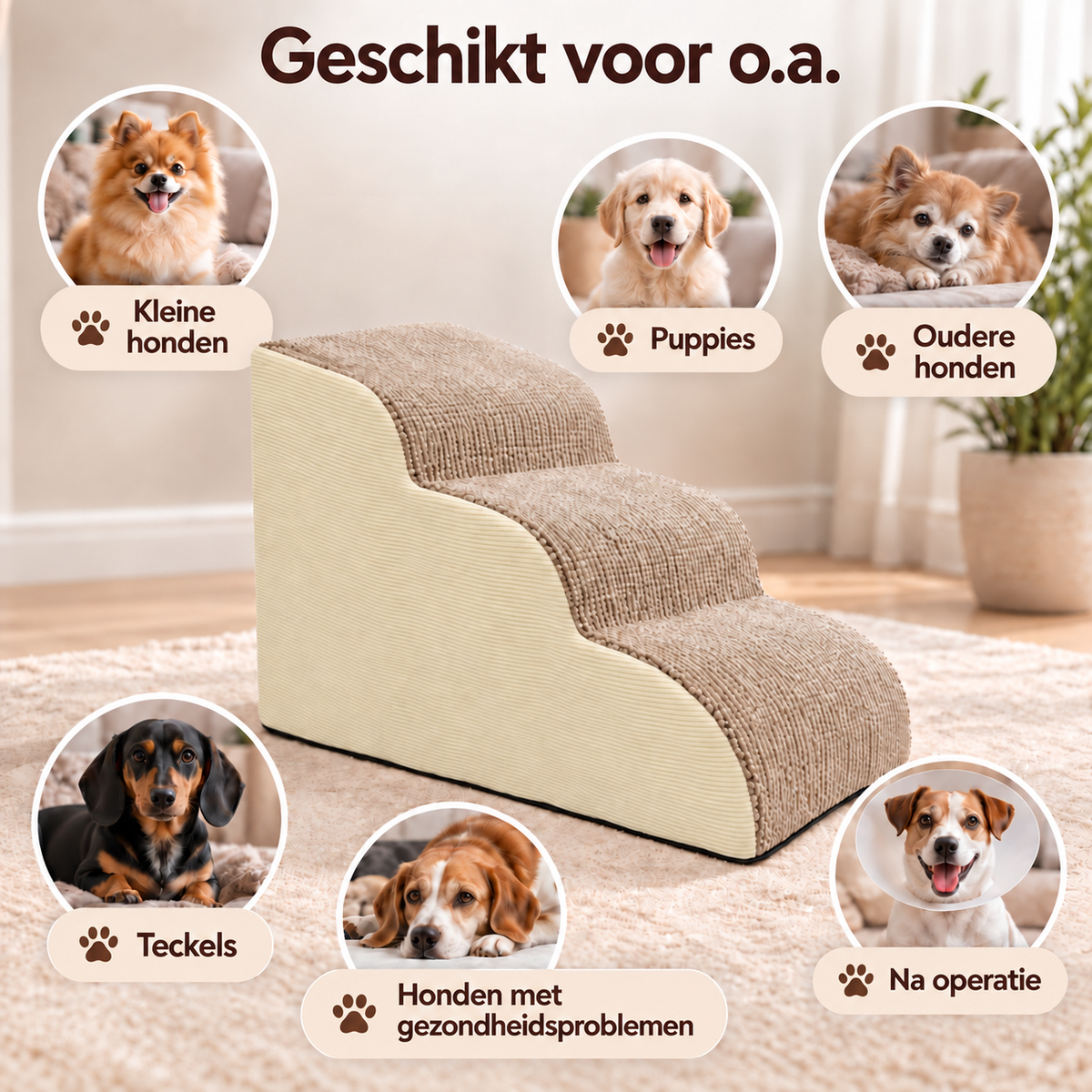 By Cee Cee Anti-Slip Dog Steps for Dogs