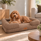 By Cee Cee Orthopedic Dog Bed