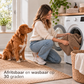 By Cee Cee Orthopedic Dog Bed