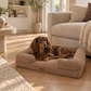 By Cee Cee Orthopedic Dog Bed